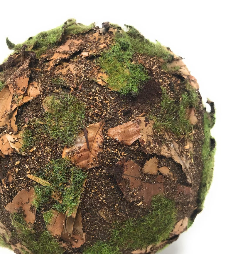 May include: A spherical object covered in a textured layer of dried brown leaves, dark brown soil-like particles, and patches of vibrant green moss. The surface has a varied, organic appearance with overlapping leaf fragments and fine green fibers.