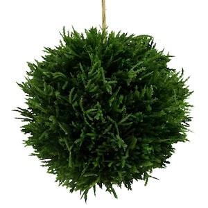 May include: A green, round, artificial topiary ball with a string hanging from the top.