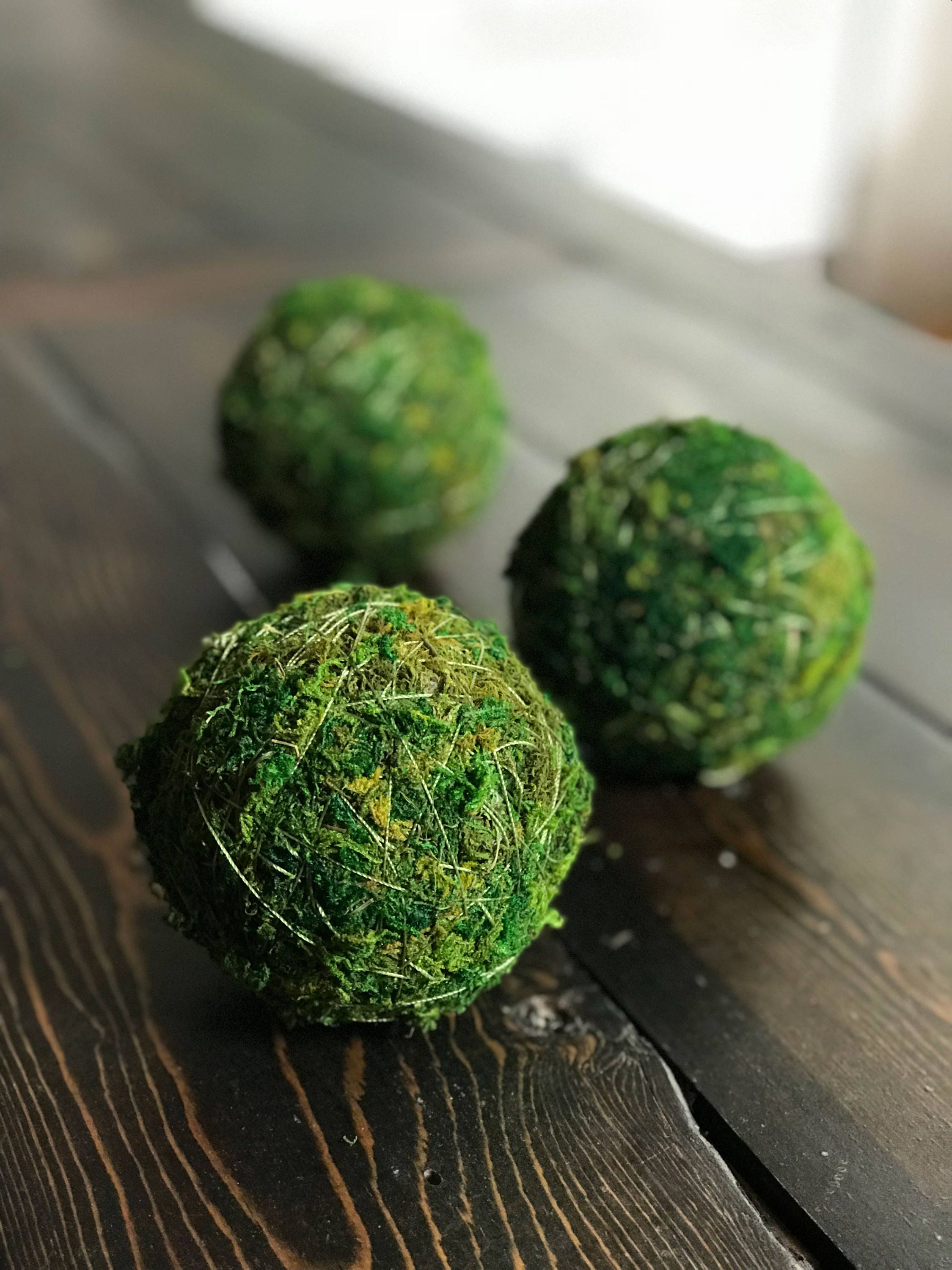 Lot of 5 Large Decorative Moss Balls for Centerpiece Bowls Natural Orbs  w/basket