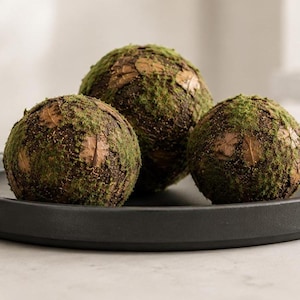 May include: Three spherical decorative objects covered in green moss and brown textured material, arranged together on a circular matte black tray with a raised edge. The spheres feature a mix of dark brown patches and vibrant green moss.