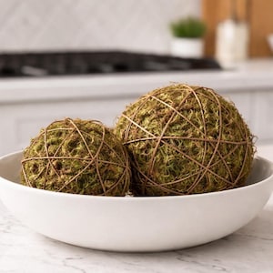 Decorative Vine Balls with Moss Accents for Bowl Filler, Natural Orbs - Choose 4" or 6"