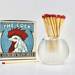 Large 1879 Antique Silver & Glass Match Striker,