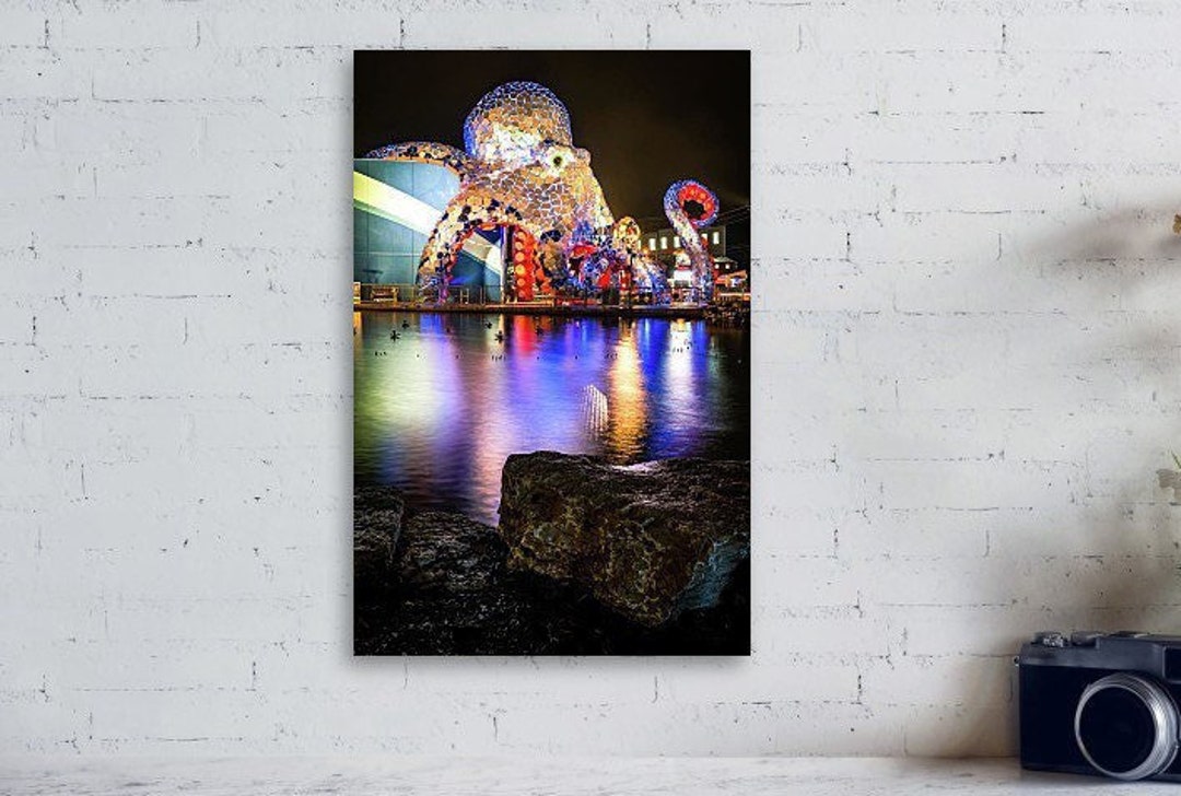 Branson Missouri Giant Octopus Aquarium at Boardwalk the Etsy