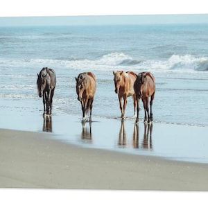 Corolla Wild Horses, Outer Banks North Carolina, OBX Prints, Beach Wall Art, Nature, Seascape, Coastal, Waves, Mustangs, Nautical Farmhouse