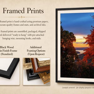 May include: A framed print featuring a landscape photograph of a sunset over a body of water framed by autumn trees. The display includes text about framed prints, a black satin finish frame, and additional ornate frame options.