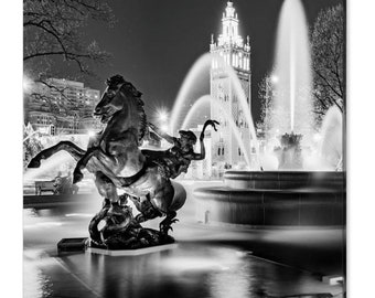 Puede incluir: Una fotografía en blanco y negro de una escultura de un caballo y un jinete frente a una fuente y un edificio alto. La fuente está iluminada por la noche y el agua fluye.
