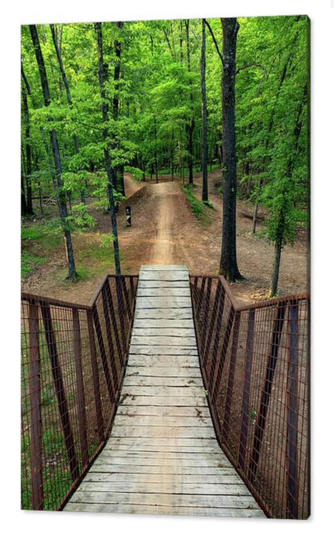 Coler Mountain Bike Trail Print: Bentonville Arkansas Ozarks