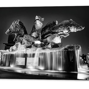 Arkansas Razorbacks Fountain Print: BW Stadium Art, Fayetteville