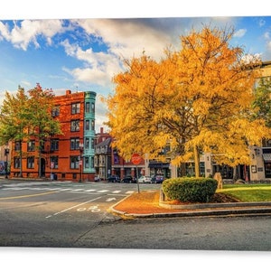 Harvard Square, Cambridge Prints, Quincy Square, Autumn Fall Photography, Boston Massachusetts, Boston Wall Art, Campus Decor, University