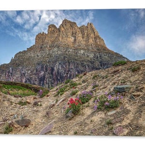 Reynolds Mountain Print: Glacier National Park Wildflower Landscape