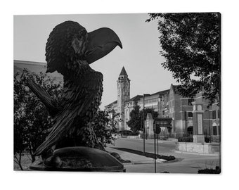 Lawrence Kansas Prints, Iconic Statue, Black and White, Street Boulevard, Architectural Skyline, Monochrome Decor, Sports Room Decor, Campus