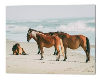 Wild Horses of Outer Banks Print: Coastal Beach Seascape