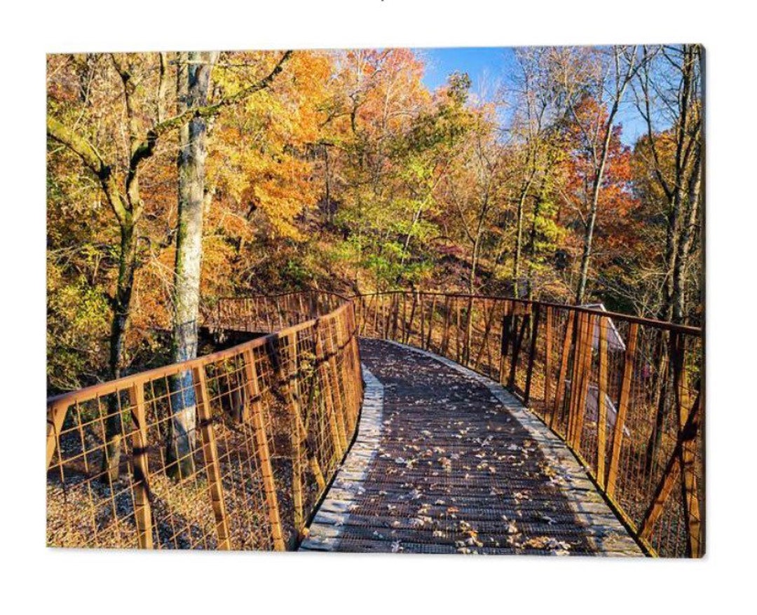 Bentonville Arkansas Coler Mtb Preserve Coler Mountain Bike