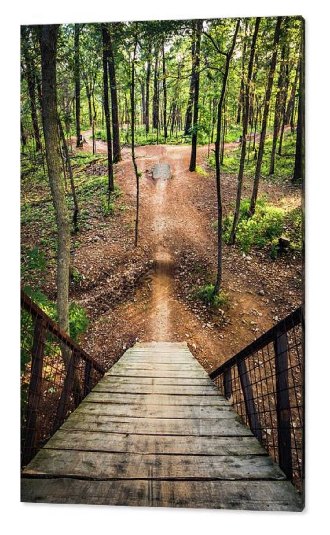 Coler Mountain Bike Preserve Print: Black Diamond Trails, Arkansas