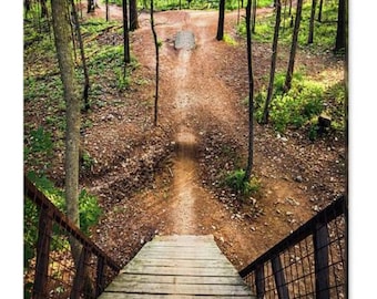 Coler Mountain Bike Preserve Print: Black Diamond Trails, Arkansas