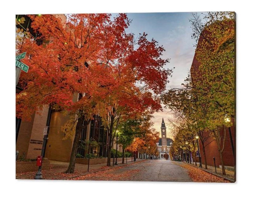 Fayetteville Arkansas Autumn Print: Washington County Courthouse, Fall Foliage