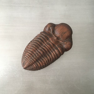 Vintage Carved Phacops Rana Wood Sculpture // Coffee Table Art // Model Wooden Fossil Carving