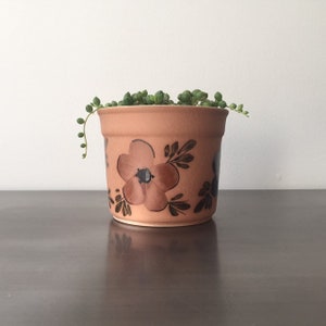 May include: A terracotta flower pot with a brown and black floral design. The pot is filled with a green succulent plant.