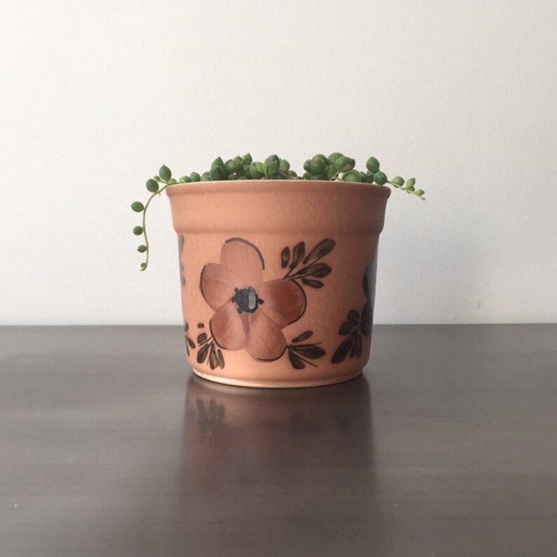 May include: A terracotta flower pot with a brown and black floral design. The pot is filled with a green succulent plant.