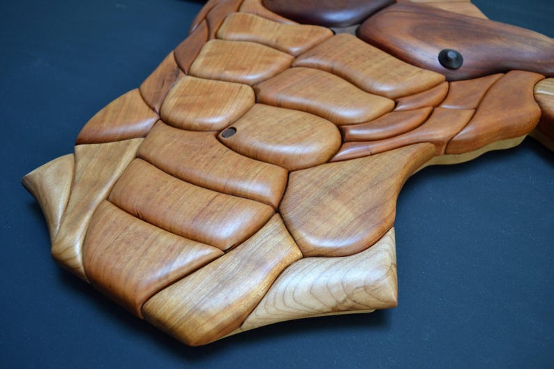 Human Body Intarsia Pattern Male Torso Intarsia Pattern - PDF Digital Version Only - Etsy Canada
