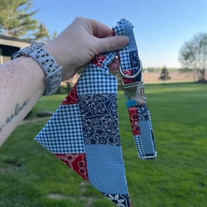 Può includere: Un set di collare e bandana per cani. Il collare e la bandana presentano un design patchwork con motivi paisley rossi, gingham blu e blu navy. Il collare ha una fibbia argentata.