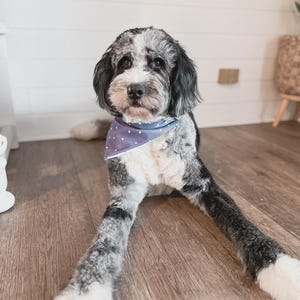 Purple Hearts Scrunchie Bandana | Dog Scarf | Dog Bandana | Dog Adventures | Valentines Day Dog Accessories | Pet Accessories