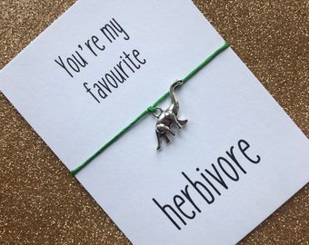 You're my favourite herbivore dinosaur friendship / wish bracelet with backing card,hand made gift, choice of colours, vegan vegetarian gift