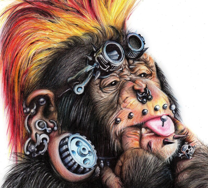 Monkey original drawing Art of Colored pencils Punk style | Etsy