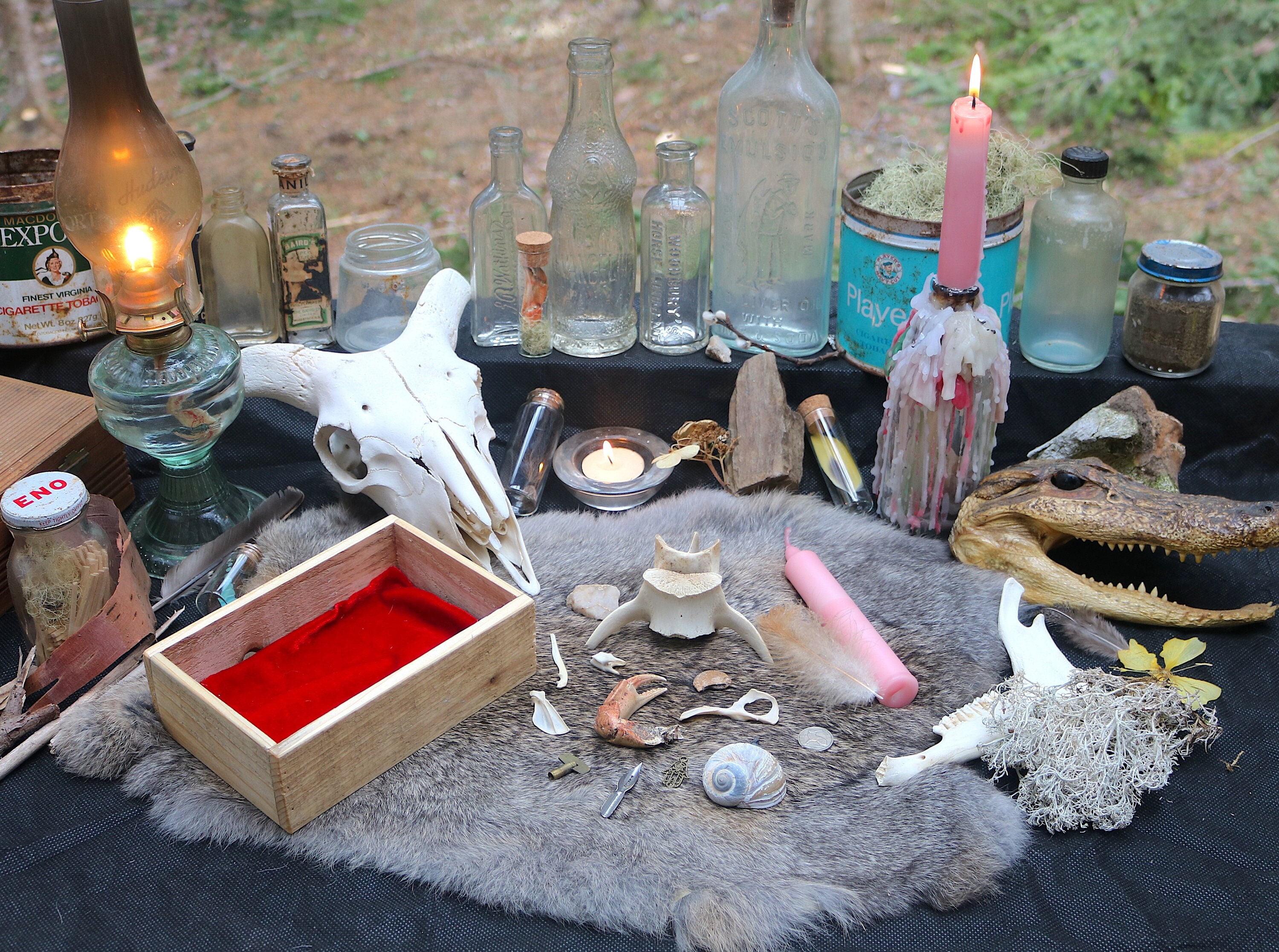 Deluxe Bone Throwing Kit Bone Divination Set Osteomancy Witch Altar