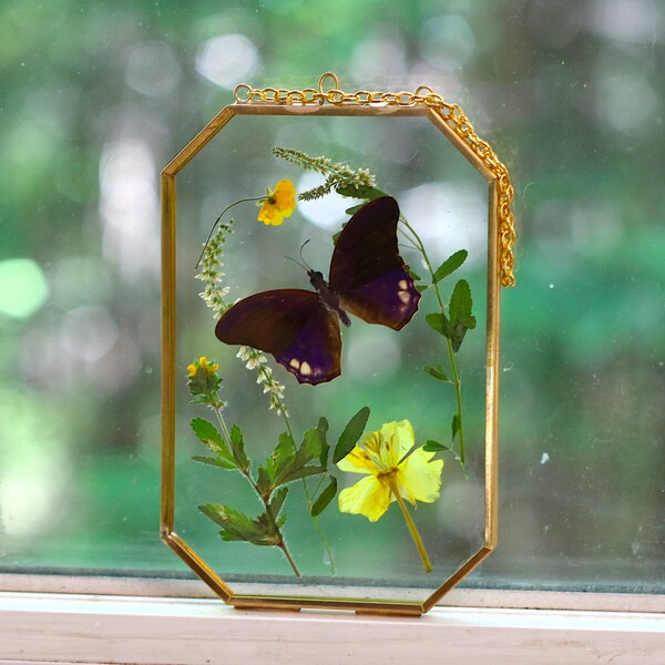 Hanging Glass Frame Etsy