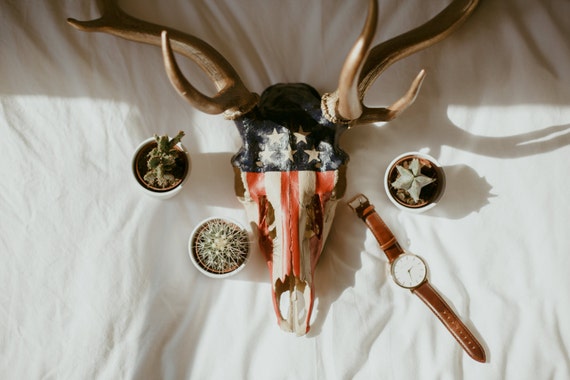 Deer Antlers Hand Painted Fallow Deer Skull With Antlers Etsy