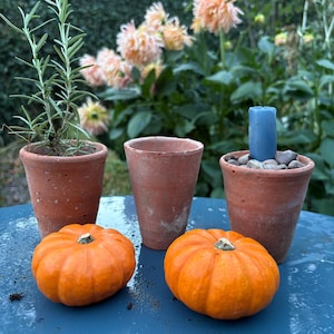 May include: Three terracotta pots arranged with two orange pumpkins. One pot contains a green rosemary plant, one is empty, and the third holds a blue pillar candle surrounded by small grey stones. The items are set on a blue surface.