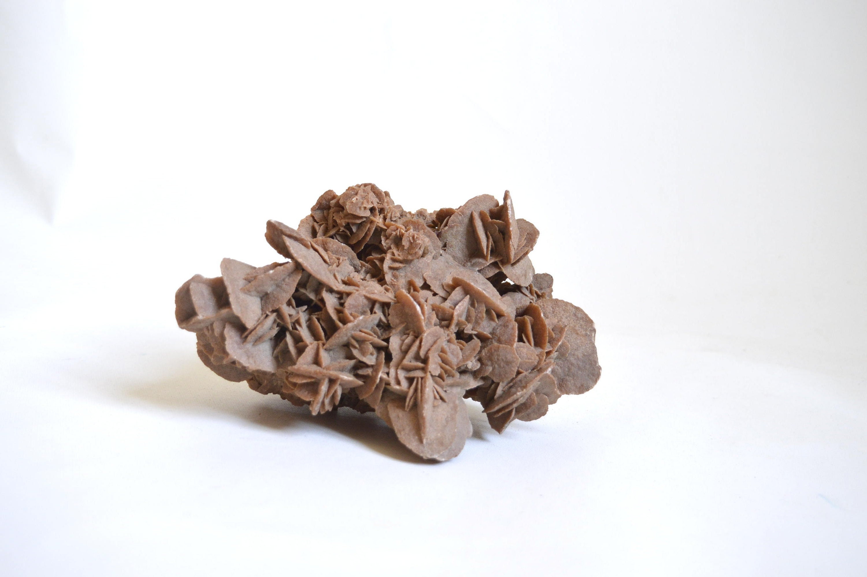 Each Desert Rose - Etsy