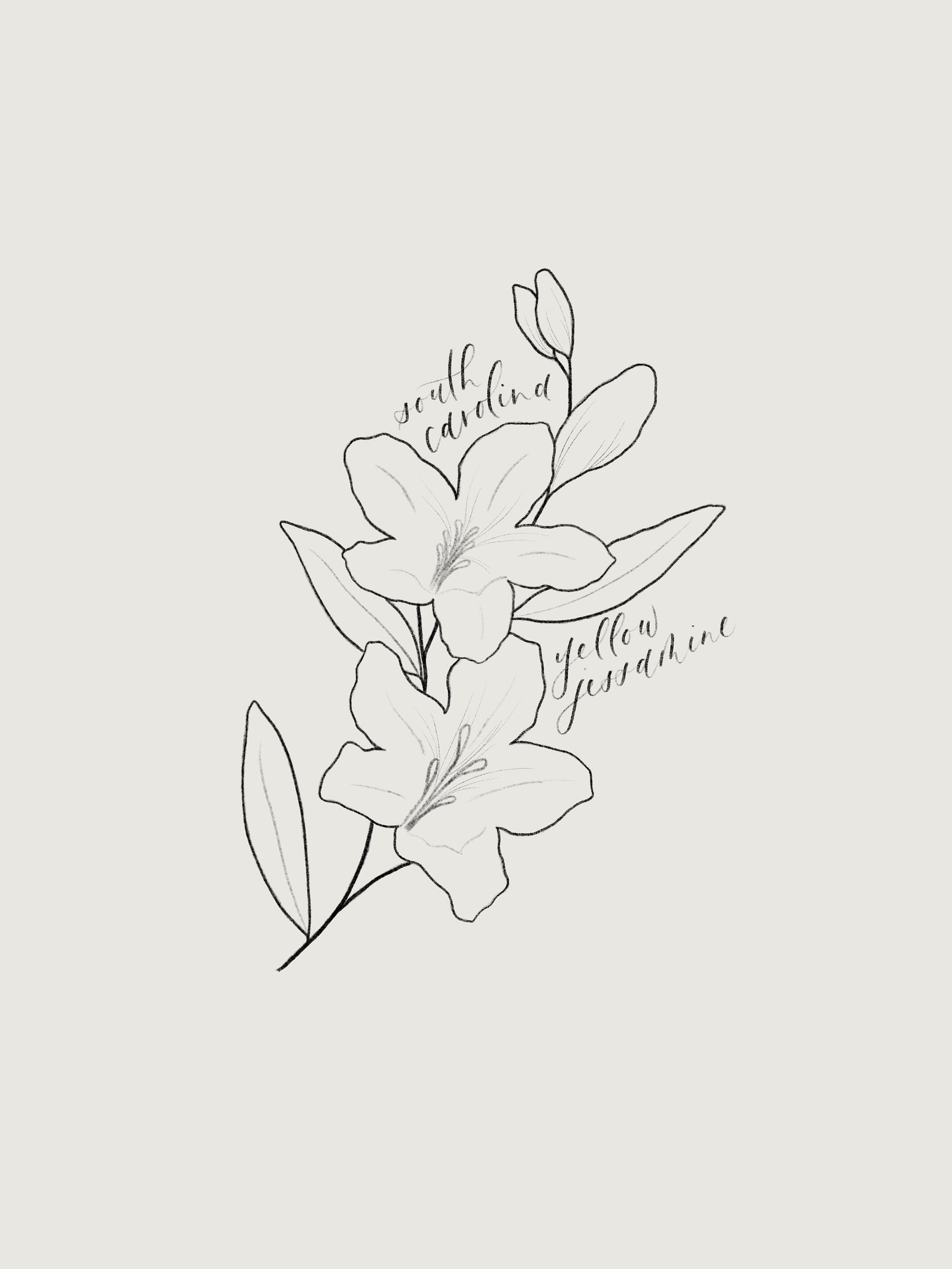 SOUTH CAROLINA Yellow JESSAMINE Print South Carolina State Etsy