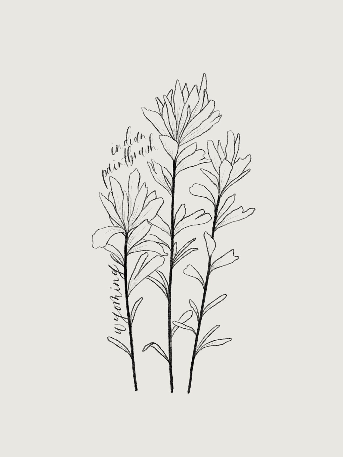 WYOMING INDIAN PAINTBRUSH Print Wyoming State Flower Art Etsy