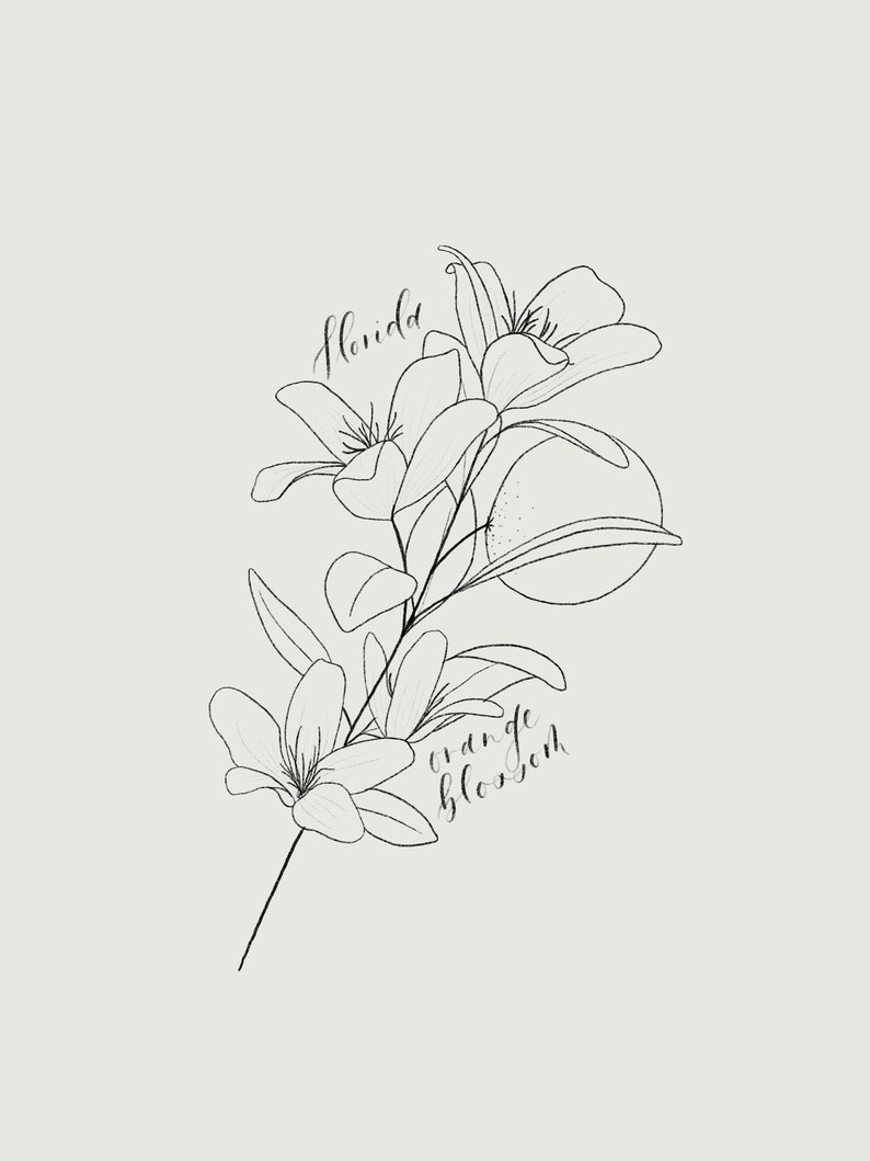 FLORIDA ORANGE BLOSSOM Print Florida State Flower Print Etsy