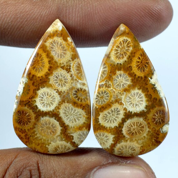 Belle Designer naturel corail fossile Designer pierres pierres pierres précieuses assorties paire 31 x 18 x 5 mm Briolette 38 Cts pierres précieuses - fabrication de bijoux en vrac 783e5a Belle Designer naturel corail fossile Designer pierres pierres pierres précieuses assorties paire 31 x 18 x 5 mm Briolette 38 Cts pierres précieuses - fabrication de bijoux en vrac 783e5a