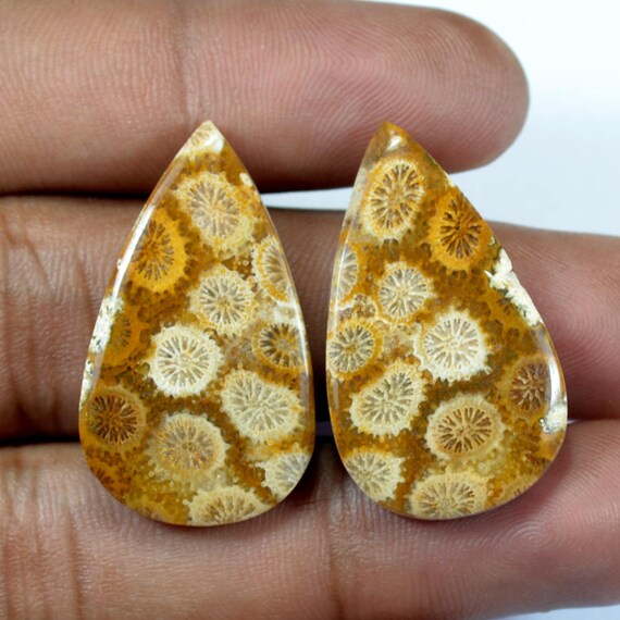 Belle Designer naturel corail fossile Designer pierres pierres pierres précieuses assorties paire 31 x 18 x 5 mm Briolette 38 Cts pierres précieuses - fabrication de bijoux en vrac 783e5a Belle Designer naturel corail fossile Designer pierres pierres pierres précieuses assorties paire 31 x 18 x 5 mm Briolette 38 Cts pierres précieuses - fabrication de bijoux en vrac 783e5a