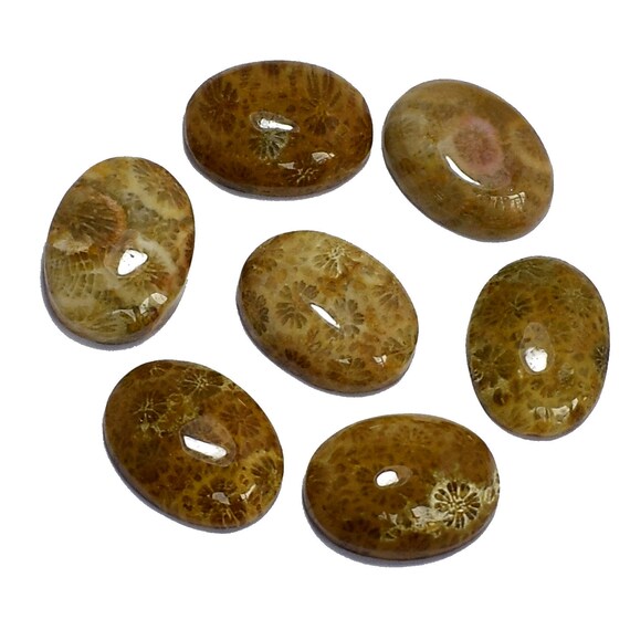 Top qualité Pierre corail fossile fossile fossile naturelle Taille ovale 16 x 12 x 5 mm ~ 69 Cts. Pierre corail fossile pour la fabrication de bijoux en gros Lots 9 Pcs b9b0a5 Top qualité Pierre corail fossile fossile fossile naturelle Taille ovale 16 x 12 x 5 mm ~ 69 Cts. Pierre corail fossile pour la fabrication de bijoux en gros Lots 9 Pcs b9b0a5