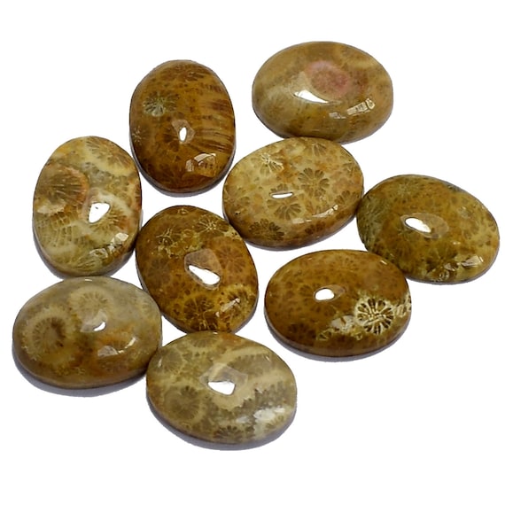 Top qualité Pierre corail fossile fossile fossile naturelle Taille ovale 16 x 12 x 5 mm ~ 69 Cts. Pierre corail fossile pour la fabrication de bijoux en gros Lots 9 Pcs b9b0a5 Top qualité Pierre corail fossile fossile fossile naturelle Taille ovale 16 x 12 x 5 mm ~ 69 Cts. Pierre corail fossile pour la fabrication de bijoux en gros Lots 9 Pcs b9b0a5