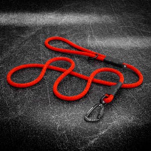 Dog Leash Customizable Climbing Rope with Autolocking Carabiner Swivel