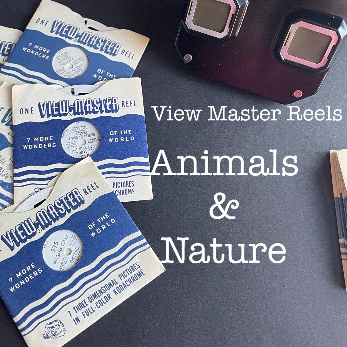 View Master reels / vintage Viewmaster Nature and Animals viewfinder photo  reel / flowers wildflowers