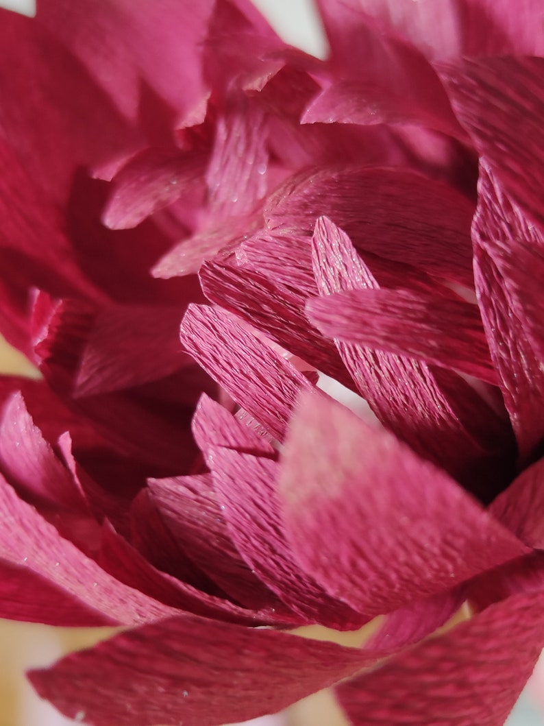 May include: Close-up of a pink paper flower with crinkled petals. The flower is made of tissue paper and has a delicate, layered texture.