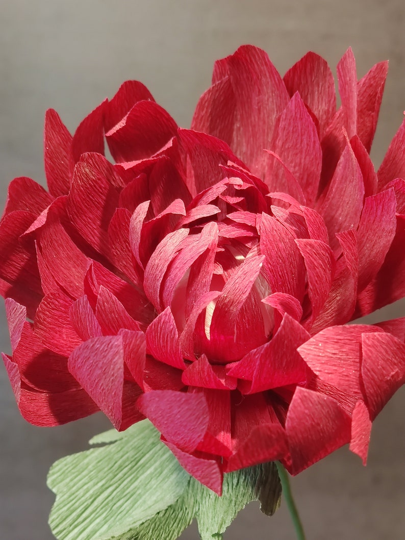 May include: A large, red paper flower with a ruffled texture. The flower is made of multiple layers of paper, creating a full and voluminous appearance.