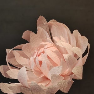 May include: A large, delicate, peach-colored paper flower with many layers of petals.