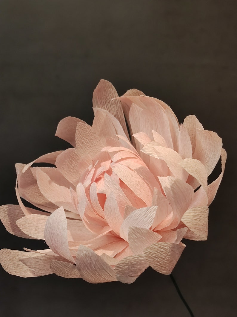 May include: A large, delicate, peach-colored paper flower with many layers of petals.