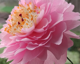 Fleur en papier pivoine ouverte vendue à la tige pour décoration d'intérieur romantique durable et cadeau fait main