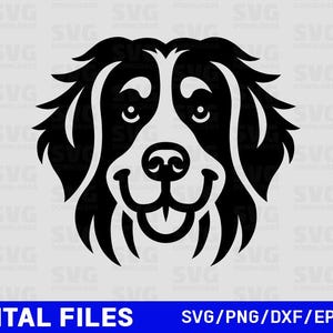 Berner Sennenhund SVG, Silhouette Schnittdateien, Cricut Dateien, Clipart, Printable