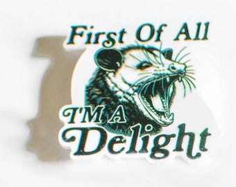 First Of All Im A Delight Badge Reel, Screaming Possum ID Holder, Sarcastic Nurse Badge Clip, Funny Gift