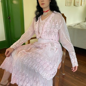 1910s Soft Pink Edwardian Embroidered Gown with Tiered Skirt and Long Sleeves size Small Medium image 1